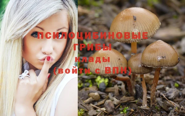 молекула духа Алексин