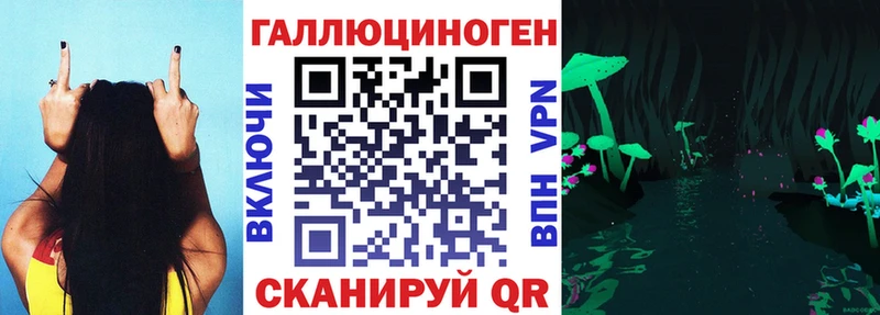 купить наркотик Ахтубинск Псилоцибиновые грибы Psilocybine cubensis