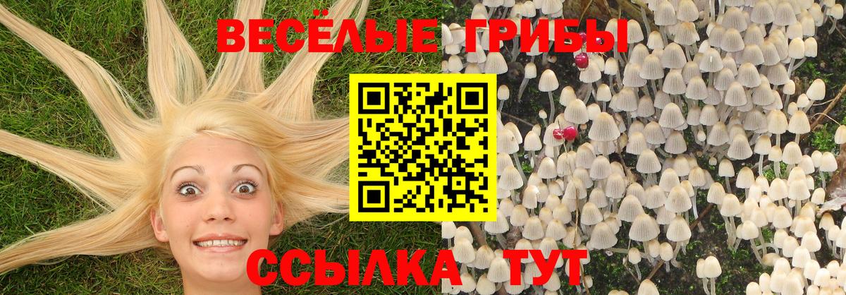 Галлюциногенные грибы Magic Shrooms  Псилоцибиновые грибы Magic Shrooms  Вход с VPN  Ахтубинск 