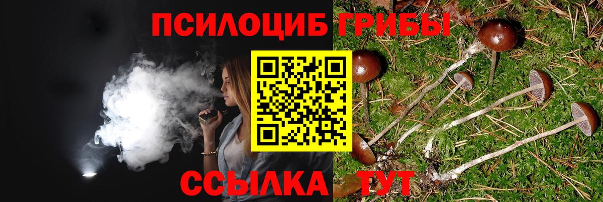 Галлюциногенные грибы прущие грибы Ахтубинск